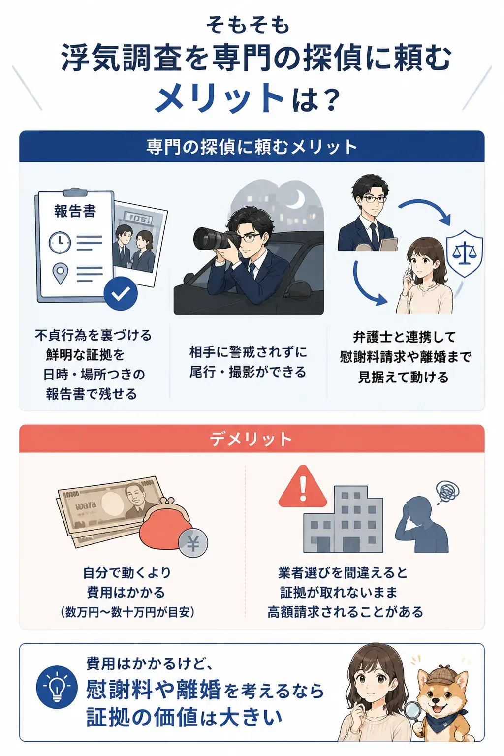 自分で集めた証拠とプロの証拠の違いを示す図解