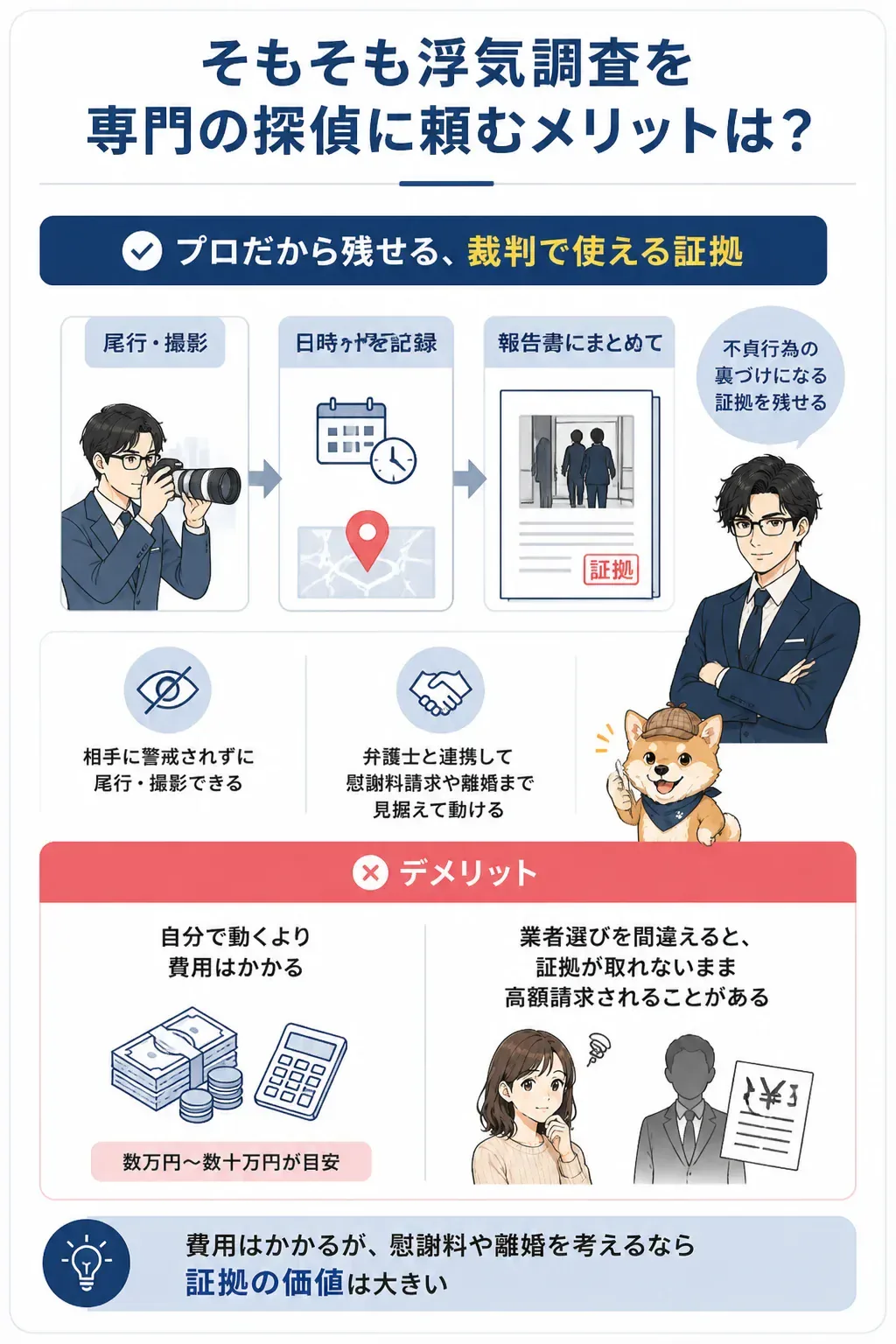 自分で集めた証拠とプロの証拠の違いを示す図解